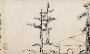3f2a3ccec018f1c4fb094200ce2d40c8_1791533557_0163.jpg
